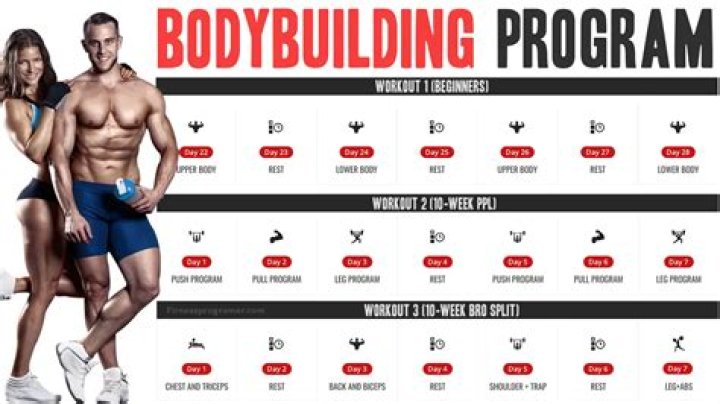Comprehensive Body Building Plan PDF for Maximum Muscle Gain