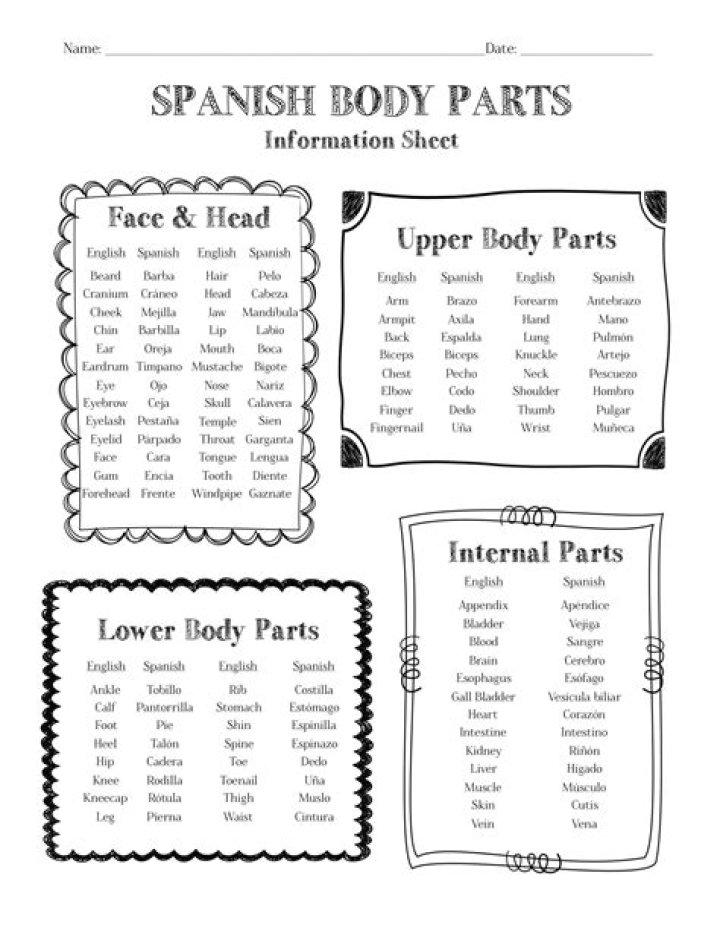 Complete Body Parts List PDF – Download Free Anatomy Guide