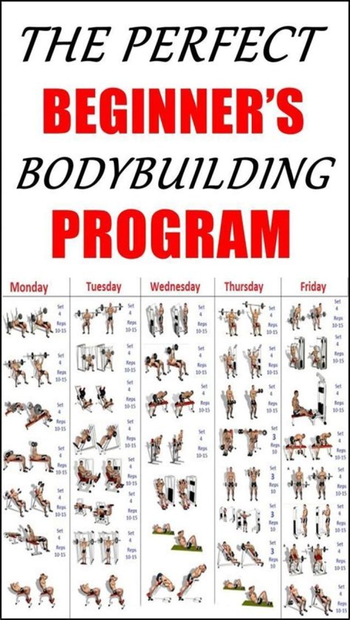 Free Bodybuilding.com Free Workout Plans PDF – Get Instant Access