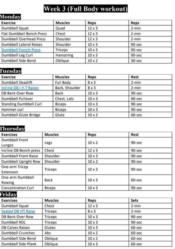 Weekly Bodybuilding Workout Plan PDF – Build Muscle Fast