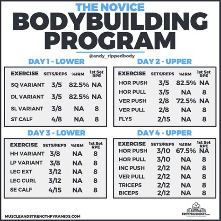 Beginner's Bodybuilding Workout Plan PDF: Start Your Muscle Journey Today