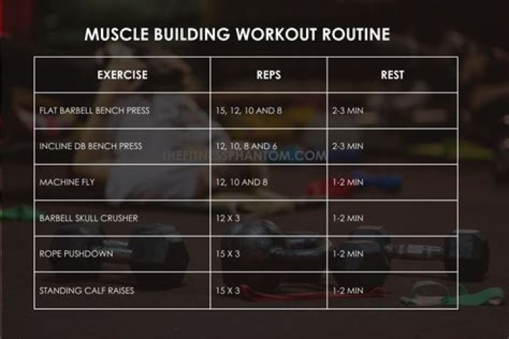 Free Bodybuilding Workout Plan PDF – Build Muscle Fast