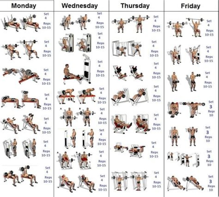 Master Your Gains: Complete Bodybuilding Workout Plan PDF