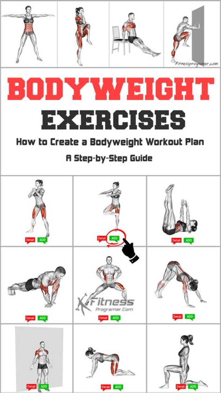 Master Your Bodyweight Exercise Plan PDF: Beginner to Advanced Workouts