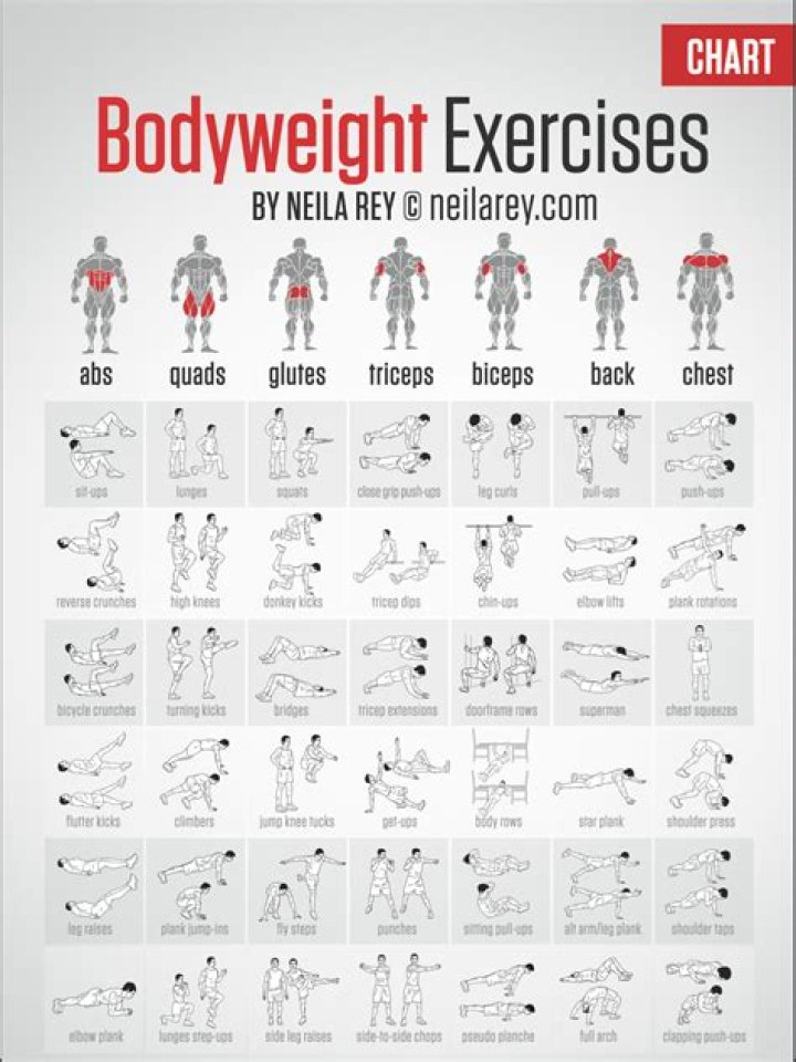Beginner’s Bodyweight Workout Plan PDF – Easy Home Workouts