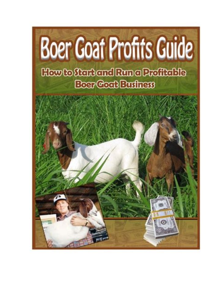 Boer Goat Business Plan PDF: Full Financial & Operational Guide