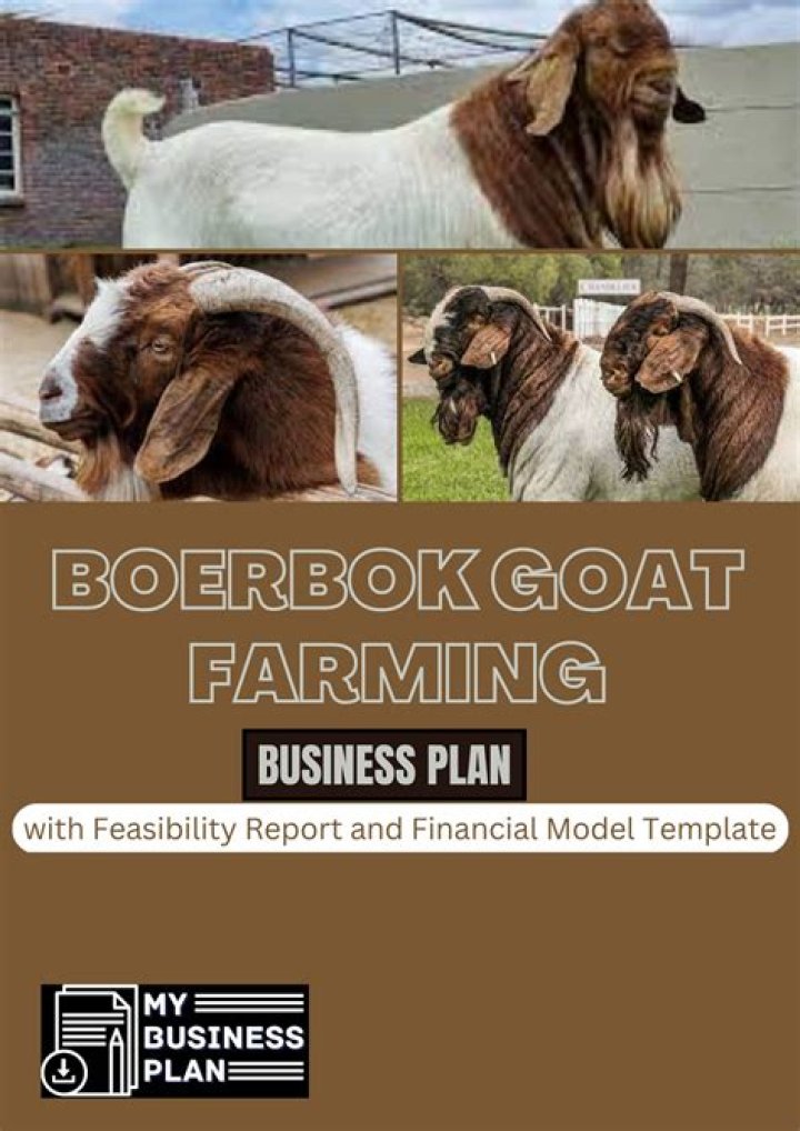 Boer Goat Management PDF: Expert Care & Breeding Guide