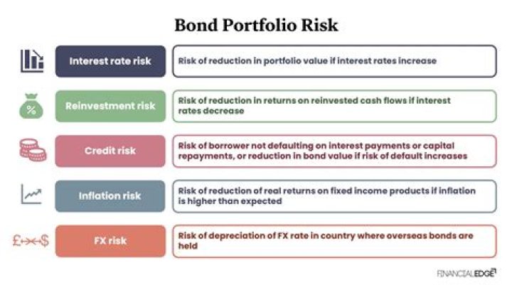 Bond Portfolio Investing & Risk Management: A Complete PDF Guide