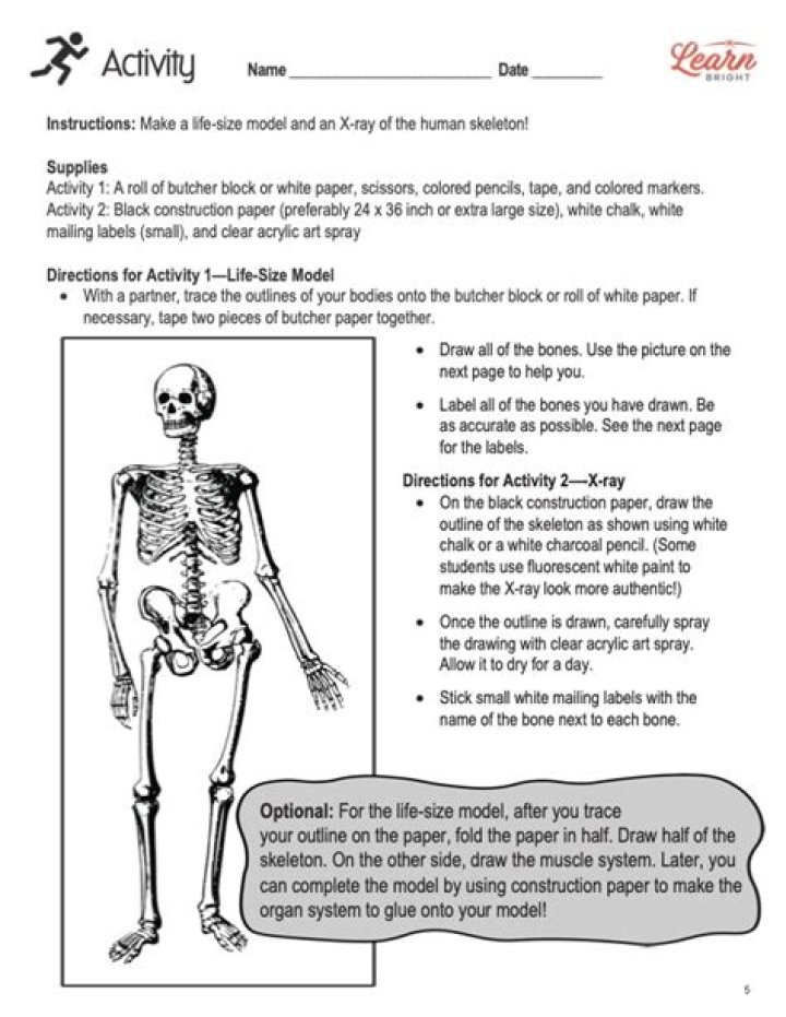 Bones Questions and Answers PDF: Expert Guide