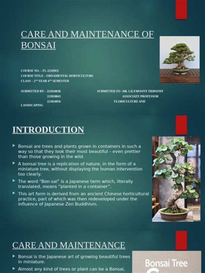Bonbonsai Manager PDF Guide: Master Bonsai Care & Management