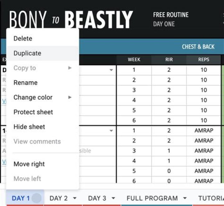 Bony to Beastly Workout Plan PDF: Transform Your Body Fast