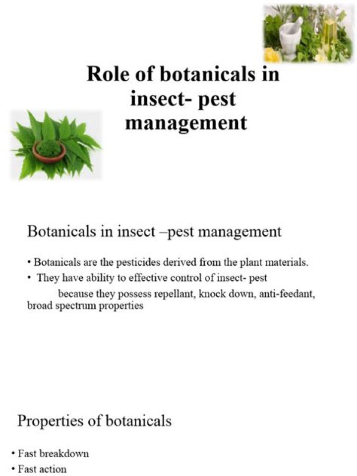 Botanicals in Pest Management: Natural Solutions for Sustainable Pest Control PDF