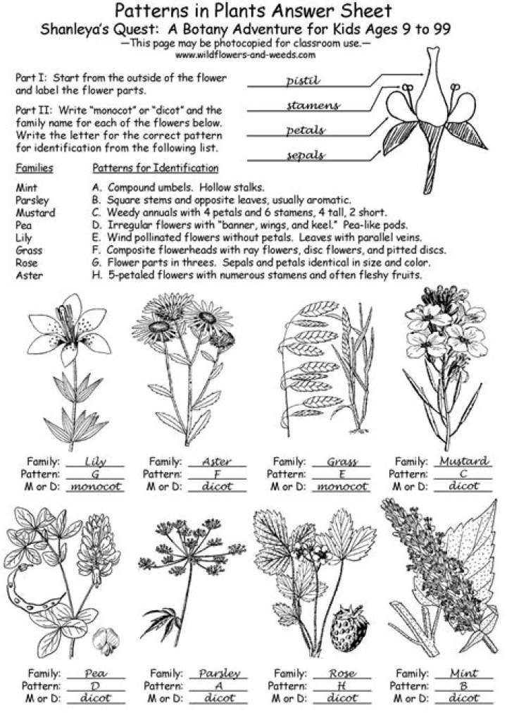 Botany Questions and Answers PDF: Expert Answers for Students & Enthusiasts