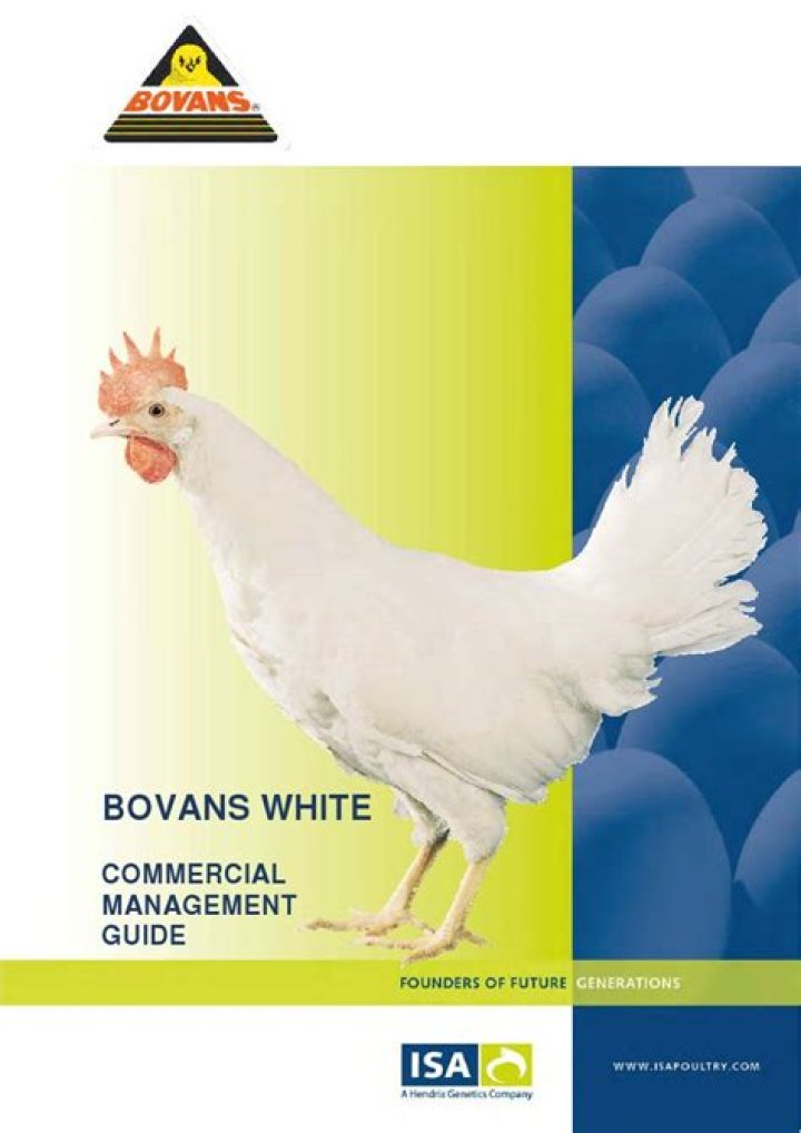 Bovans White Management Guide PDF: Expert Leadership Strategies for Success
