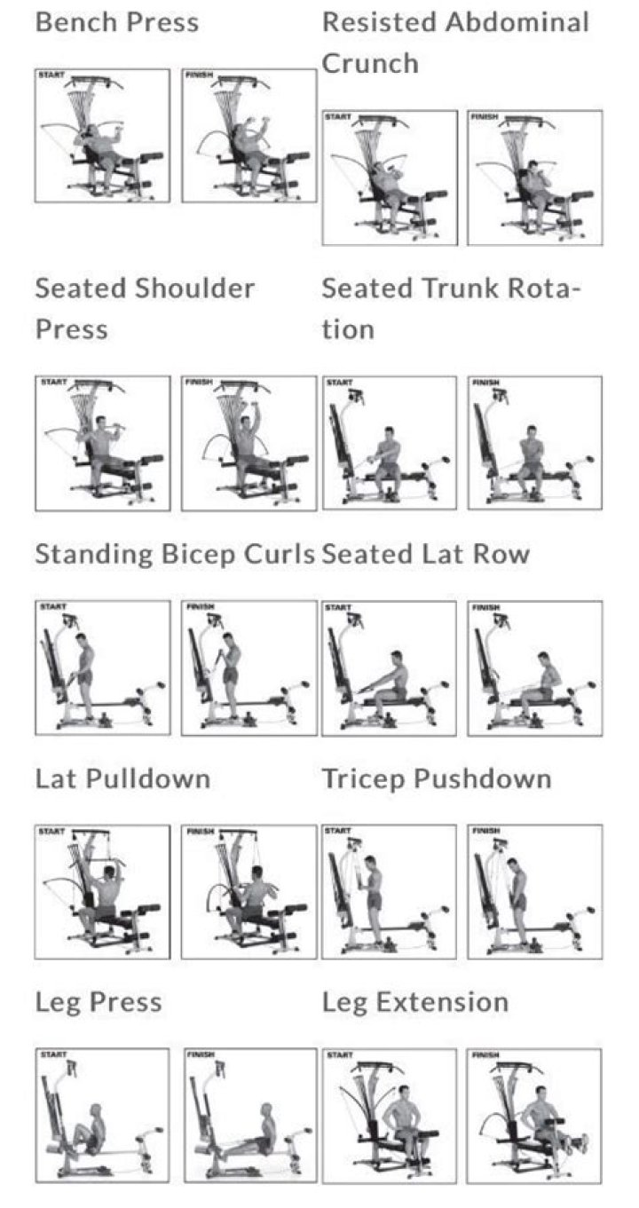 Free Bowflex Workout Plan PDF: Effective Home & Gym Routines