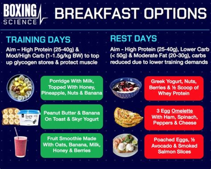 Optimize Your Boxer’s Diet: Expert PDF Meal Plan