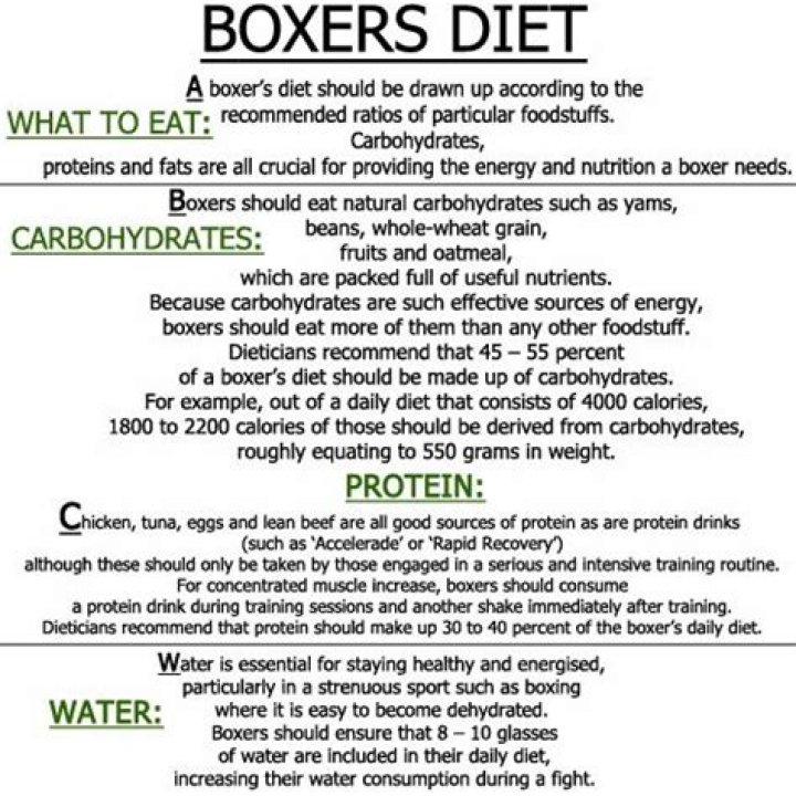 Boxing Diet Plan PDF: Burn Fat, Gain Muscle Fast