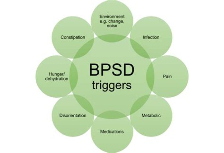 BPSD Management PDF Guide: Optimize Your Processes with Expert Insights
