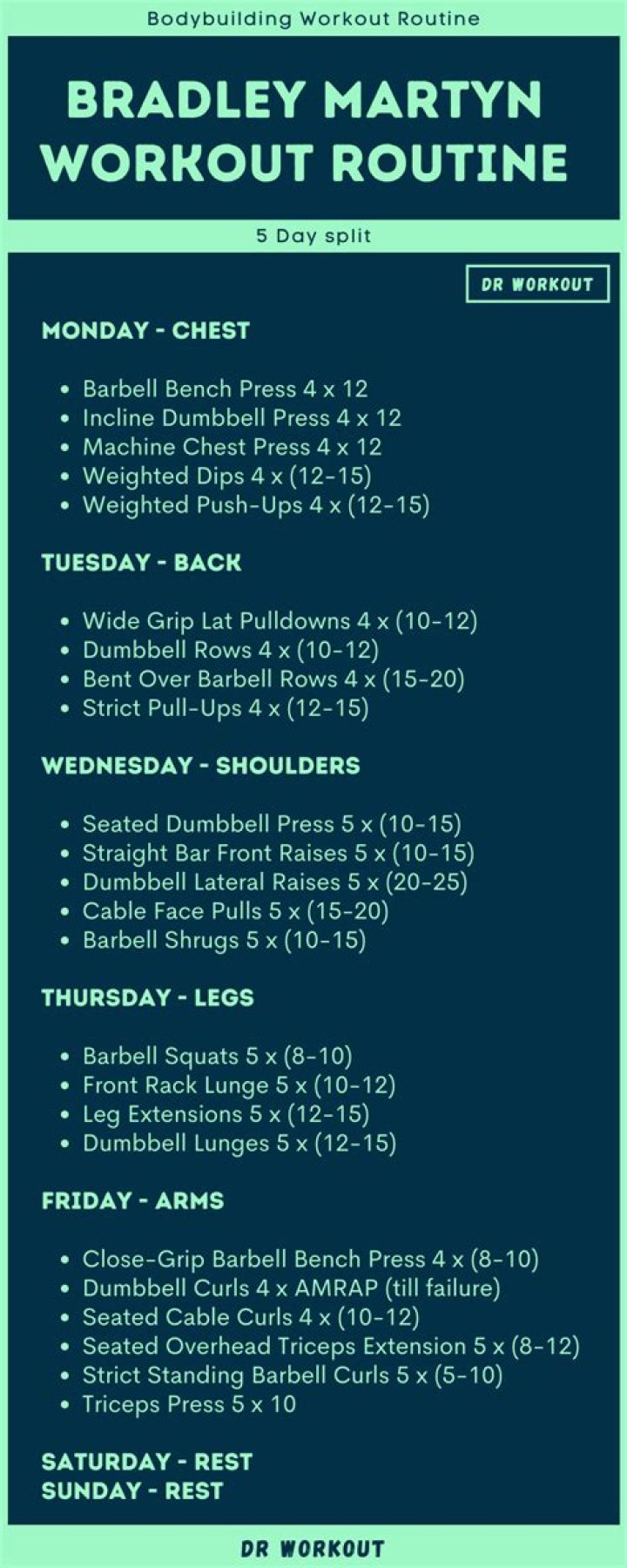 Bradley Martyn Workout Plan PDF – Proven Training Guide for Results