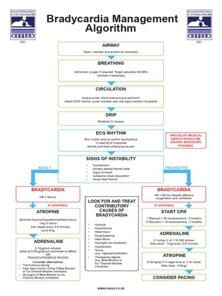 Bradycardia Management PDF: Essential Guide for Quick Reference