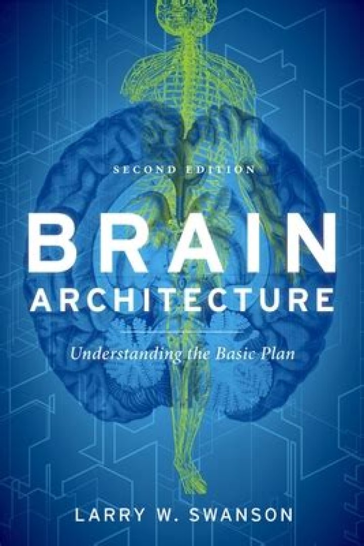 Brain Architecture Understanding: The Basic Plan PDF Guide