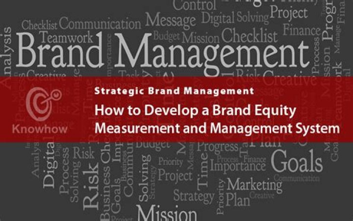 Master Brand Equity Management: PDF Guide to Building Sustainable Brand Value