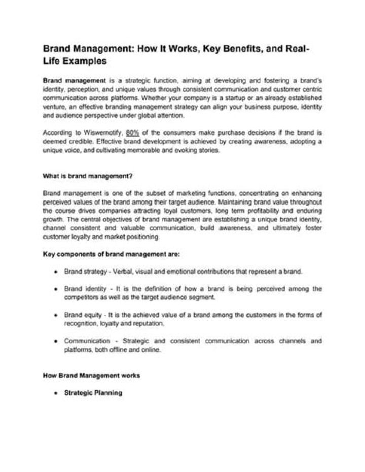Comprehensive Brand Management Articles PDF for Professionals