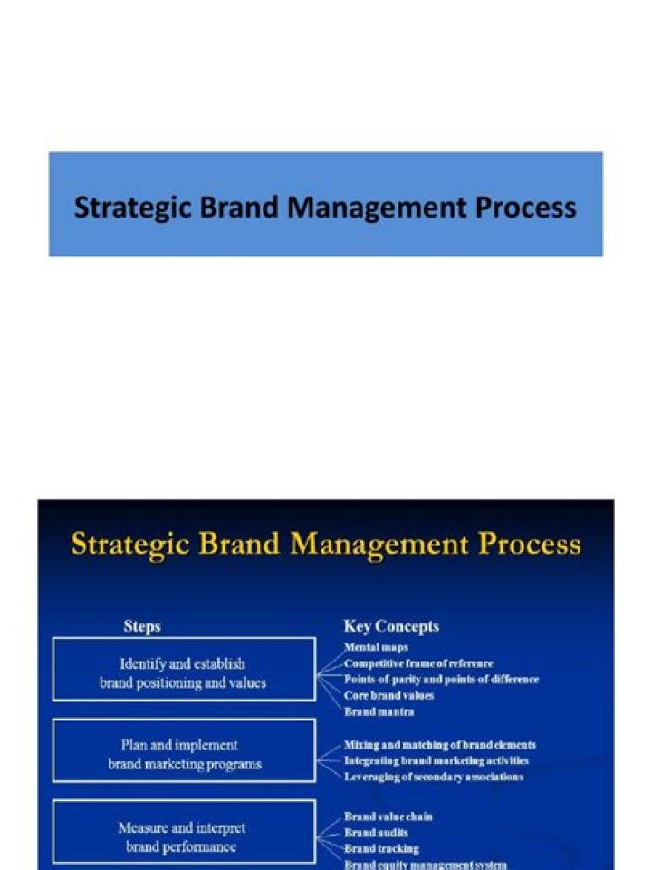 Master the Brand Management Process: A Step-by-Step PDF Guide