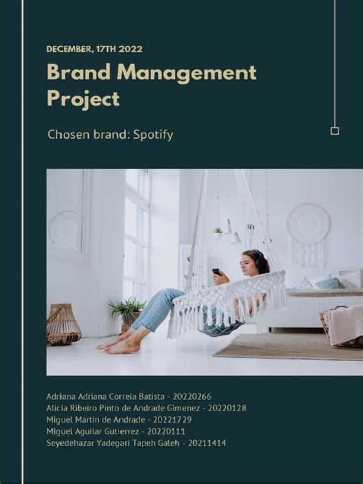 Comprehensive Brand Management Project PDF for Success