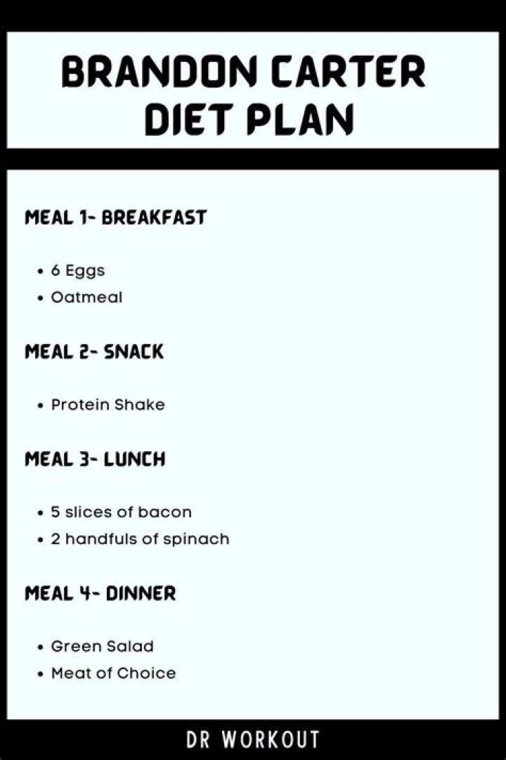 Brandon Carter's Proven Diet Plan PDF for Quick Weight Loss