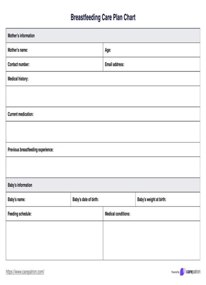 Comprehensive Breastfeeding Plan PDF for New Moms