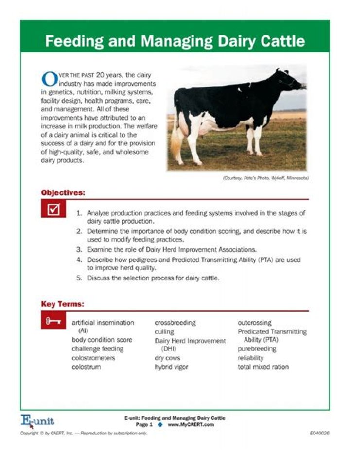 Mastering Breeding Management of Dairy Cattle: A Comprehensive PDF Guide