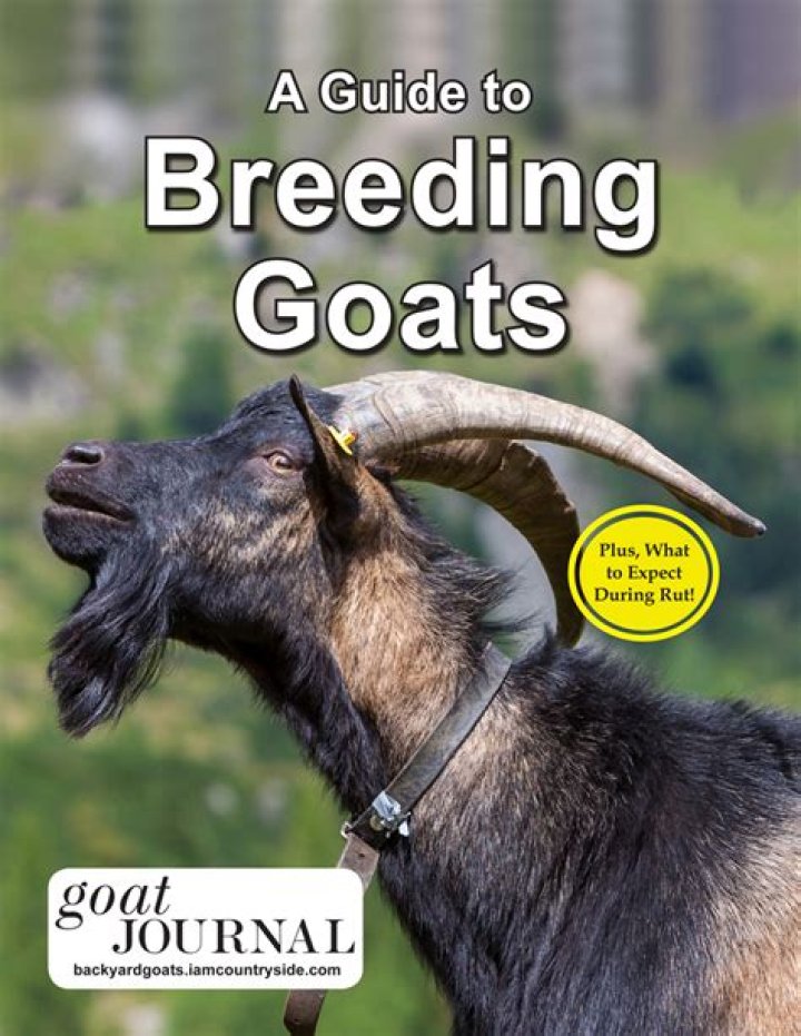 Essential Breeding Management of Goats PDF Guide
