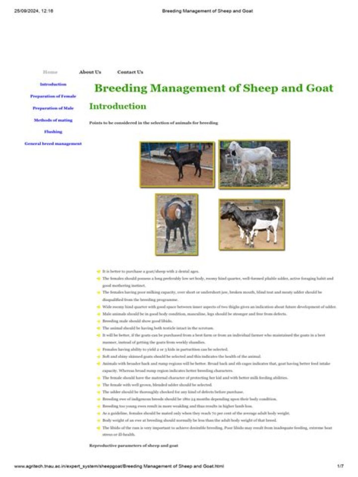 Breeding Management of Sheep and Goat: Expert PDF Guide