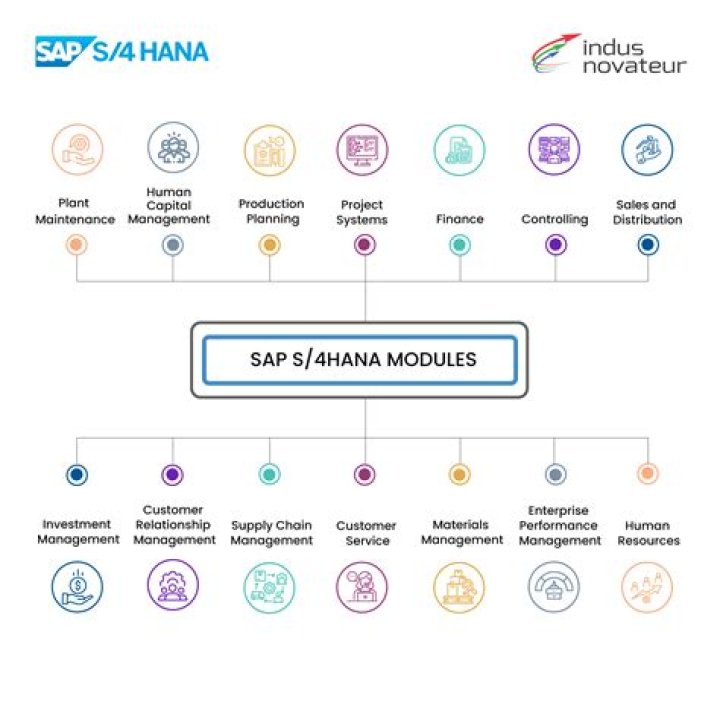 Brfplus Output Type Management in SAP S 4Hana PDF Format