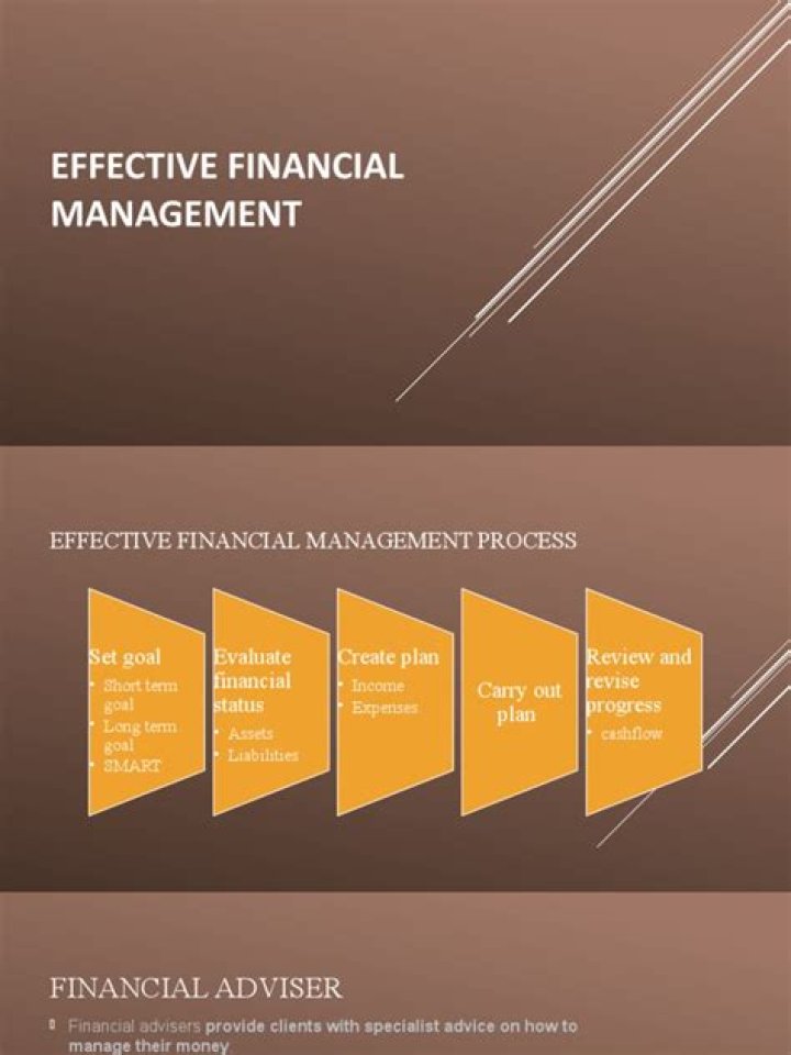 Brian Finch's Effective Financial Management PDF: Master Your Money Today