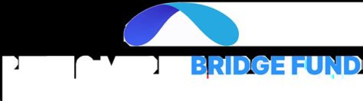 Bridge Development Fund Manager LLC: Strategic Investment & Project Management PDF