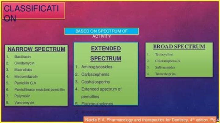 Broad Spectrum Antibiotics List PDF – Complete Guide & Reference