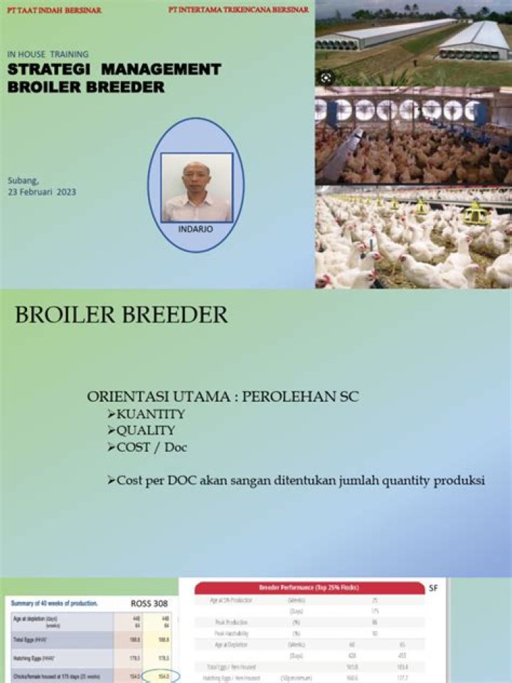 Broiler Breeder Management Guide PDF: Expert Care & Breeding Strategies