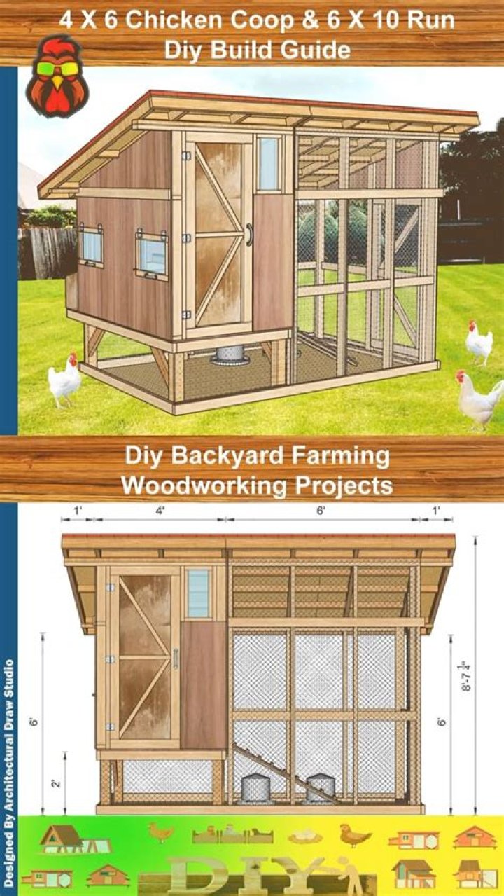 Broiler Chicken House Plans for 100 Chickens PDF – Full Design Guide