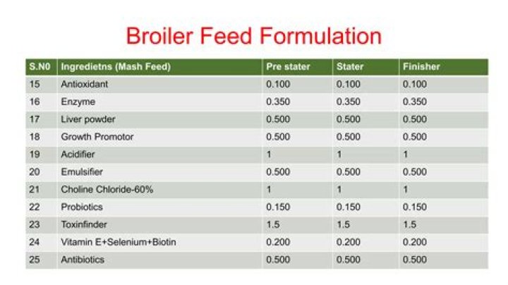 Master Broiler Feed Management: Essential PDF Guide for Profitable Poultry Growth