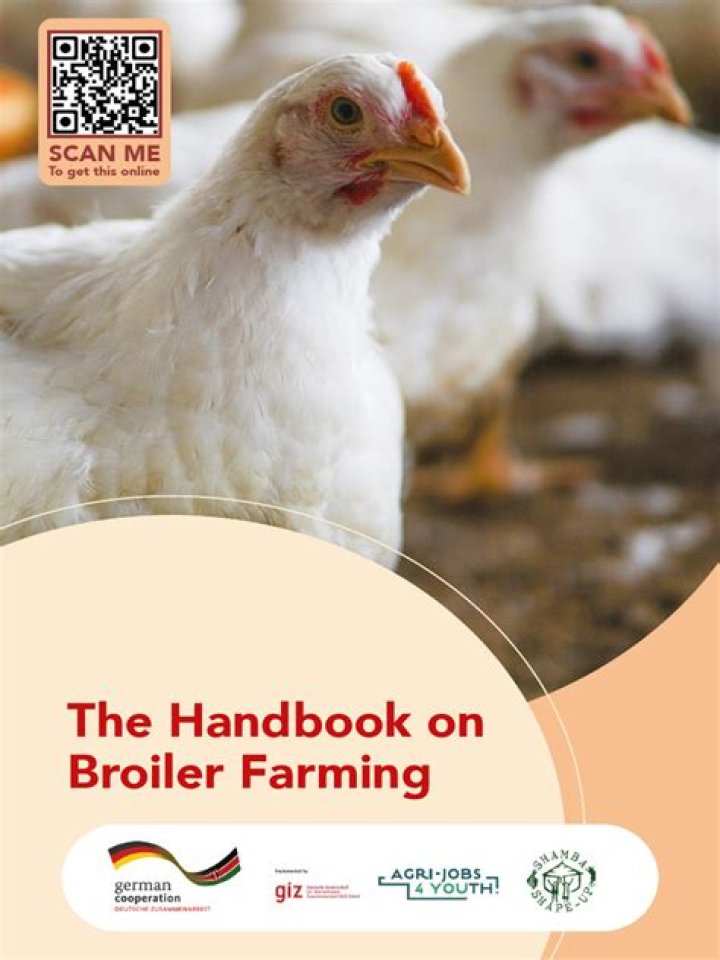Broiler Management Guide PDF: Expert Tips for Healthy Flocks