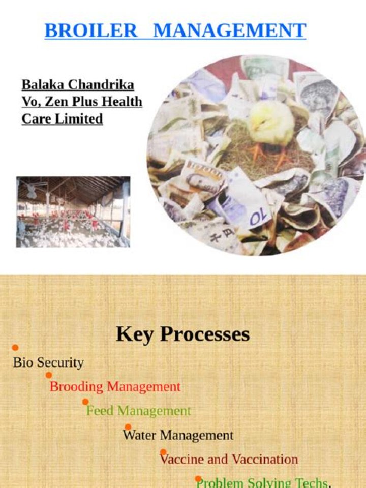 Essential Broiler Management Practices PDF for Optimal Poultry Performance