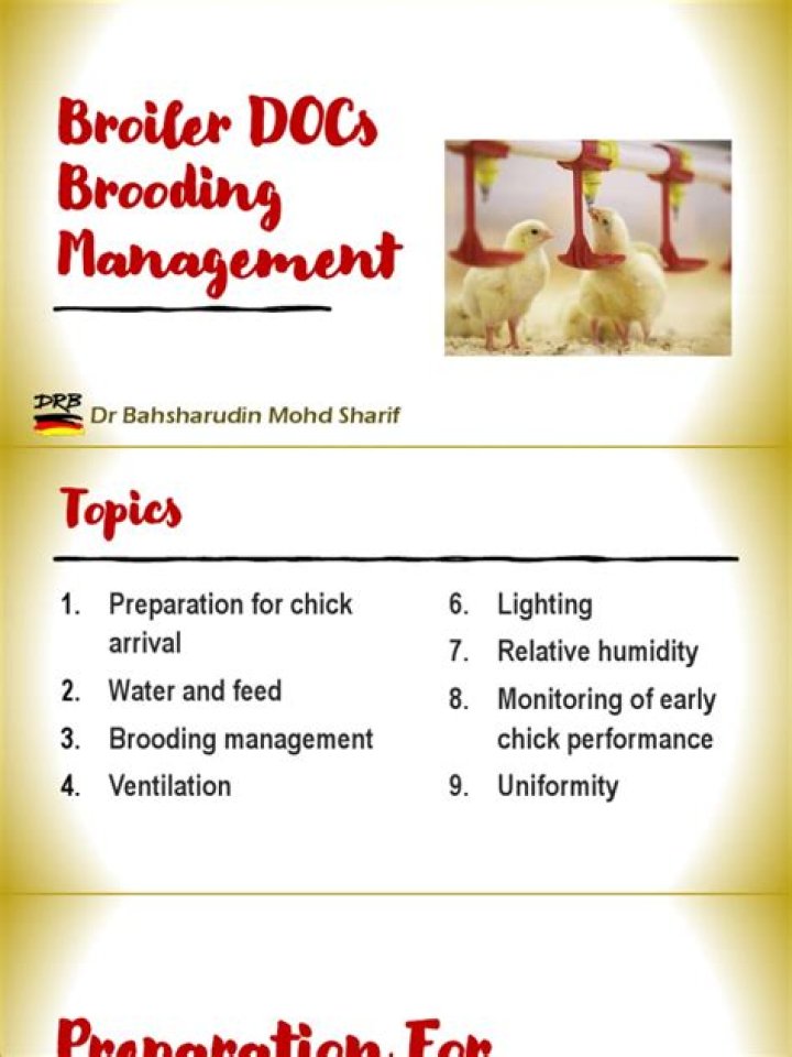 Brooding Management PDF: Expert Strategies for Effective Animal Care