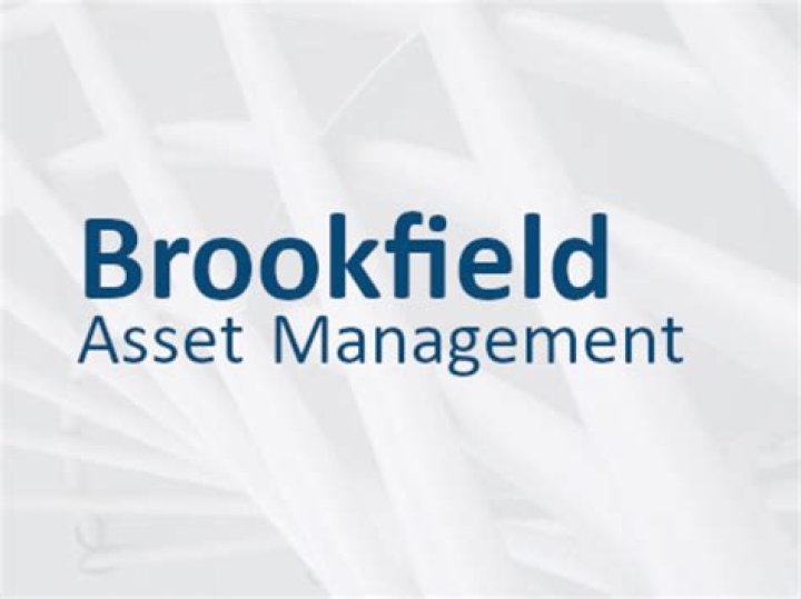 Brookfield Asset Management 2020 ESG Report PDF: Key Insights and Sustainability Performance