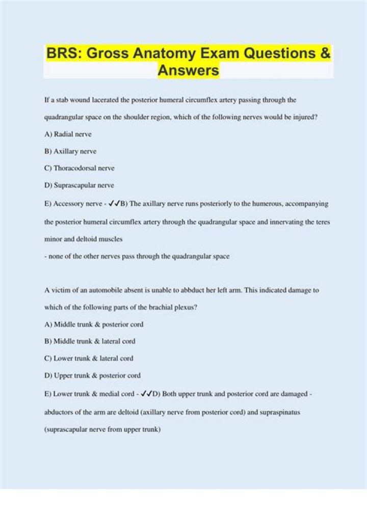 BRRS Anatomy Questions PDF: Expert Practice & Answers