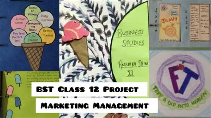 Class 12 BST Project: Marketing Management Strategies on Chocolate Branding PDF
