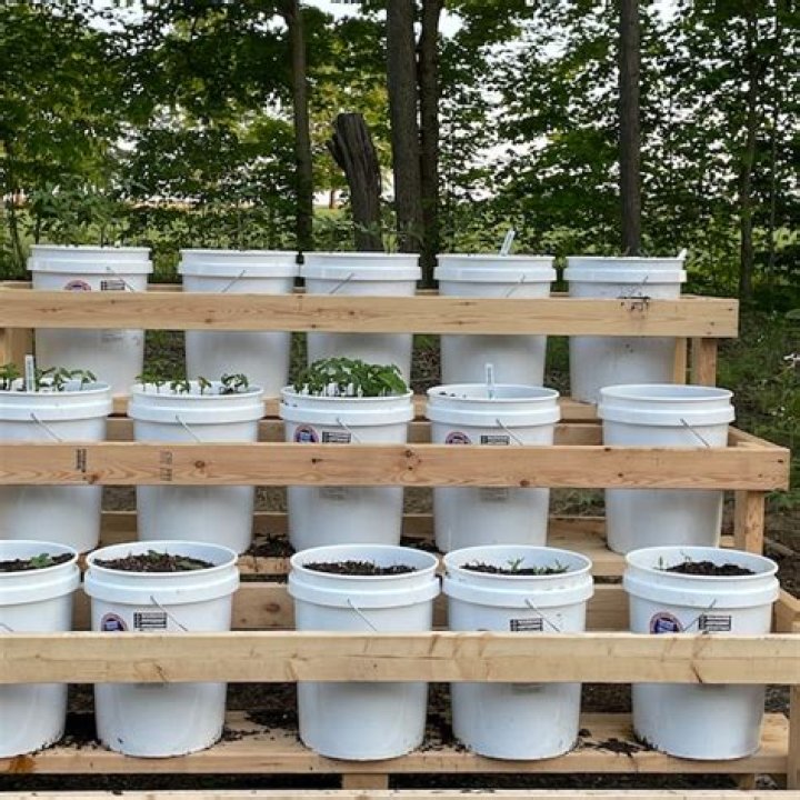 Bucket Garden Plans PDF: Easy DIY Gardening Guide