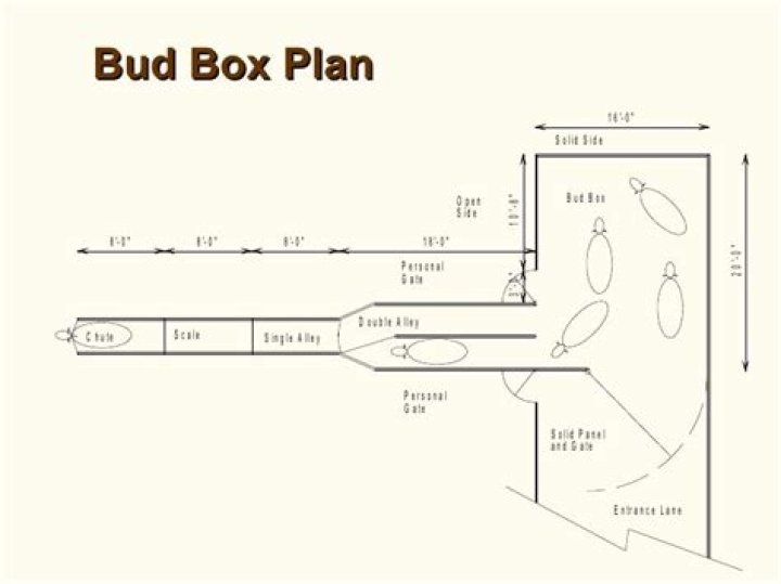 Bud Box Design Plans PDF – Easy DIY Folding Box Tutorial
