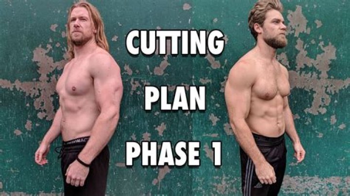 Buff Dudes Cutting Plan PDF: Easy Step-by-Step Guide